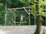 viking  swing